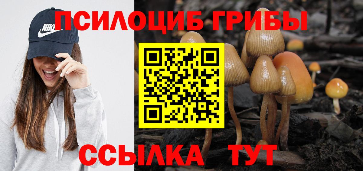 Каменск-Шахтинский  Псилоцибиновые грибы Psilocybine cubensis  Вход с VPN 